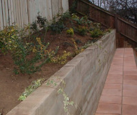 Plants, retaining wall and Firenza tiles hold back a steep bank.