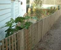 Powerful, colourful planting brings out the best in this garden.
