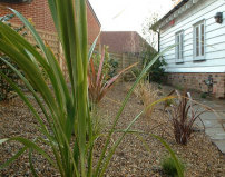 Phormiums work well with the stone and black bamboo. 