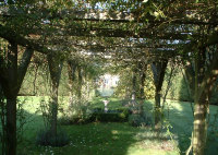 Welcome shade from large climbing roses over pergola.