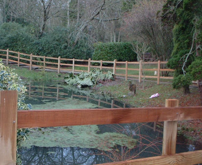 Post and rail fence from Rob McGee & Son.