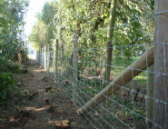 Fencing works in Stockbury near Sittingbourne