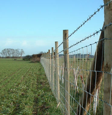 Stock fencing