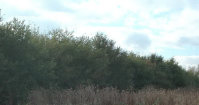 A wonderful haven for wildlife.