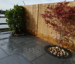 Paving and plants