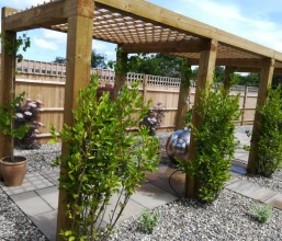Pergola, paving and plants
